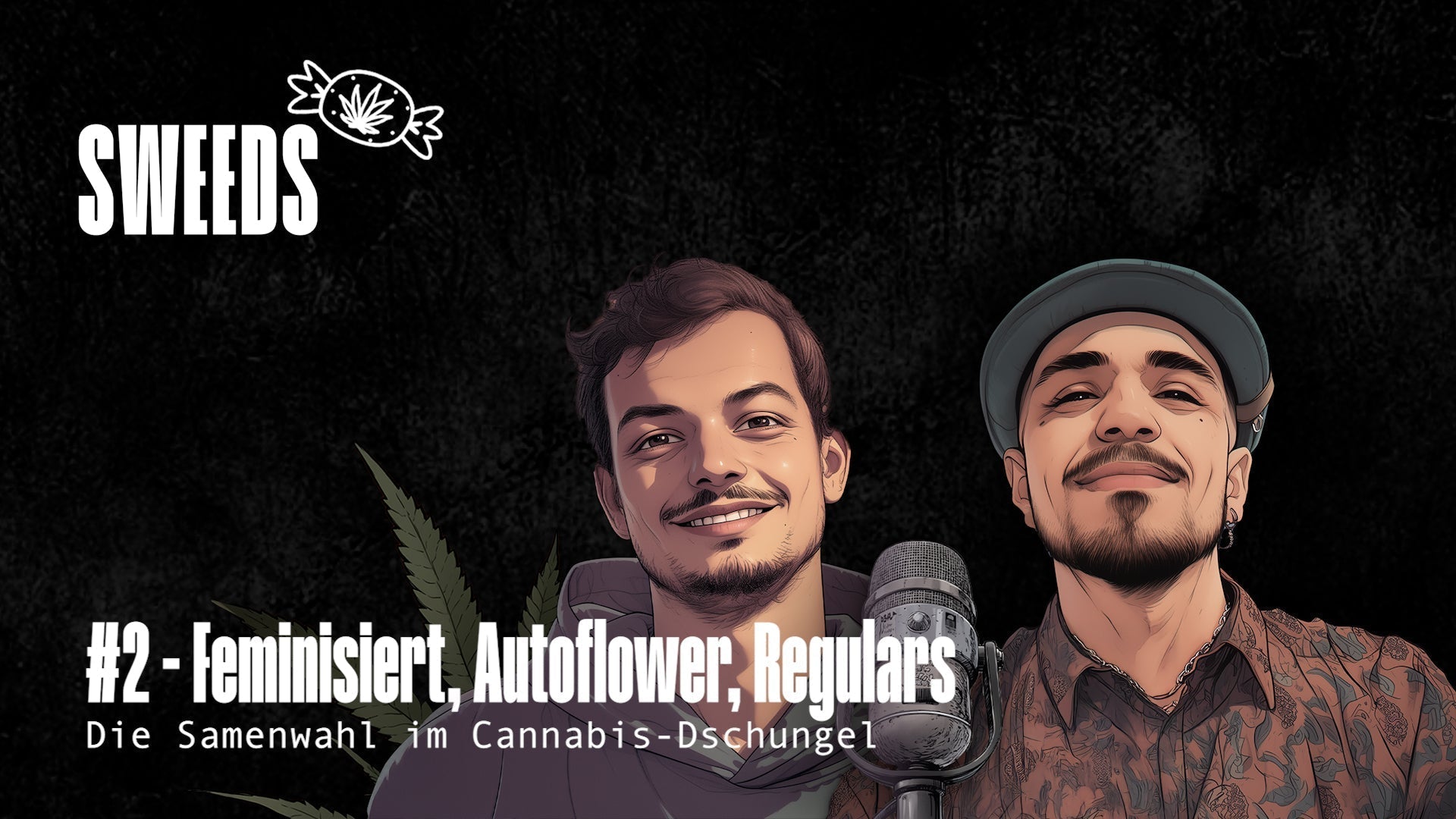 #2 - Feminisiert Autoflower, Regular: Die Samenwahl im Cannabis-Dschungel