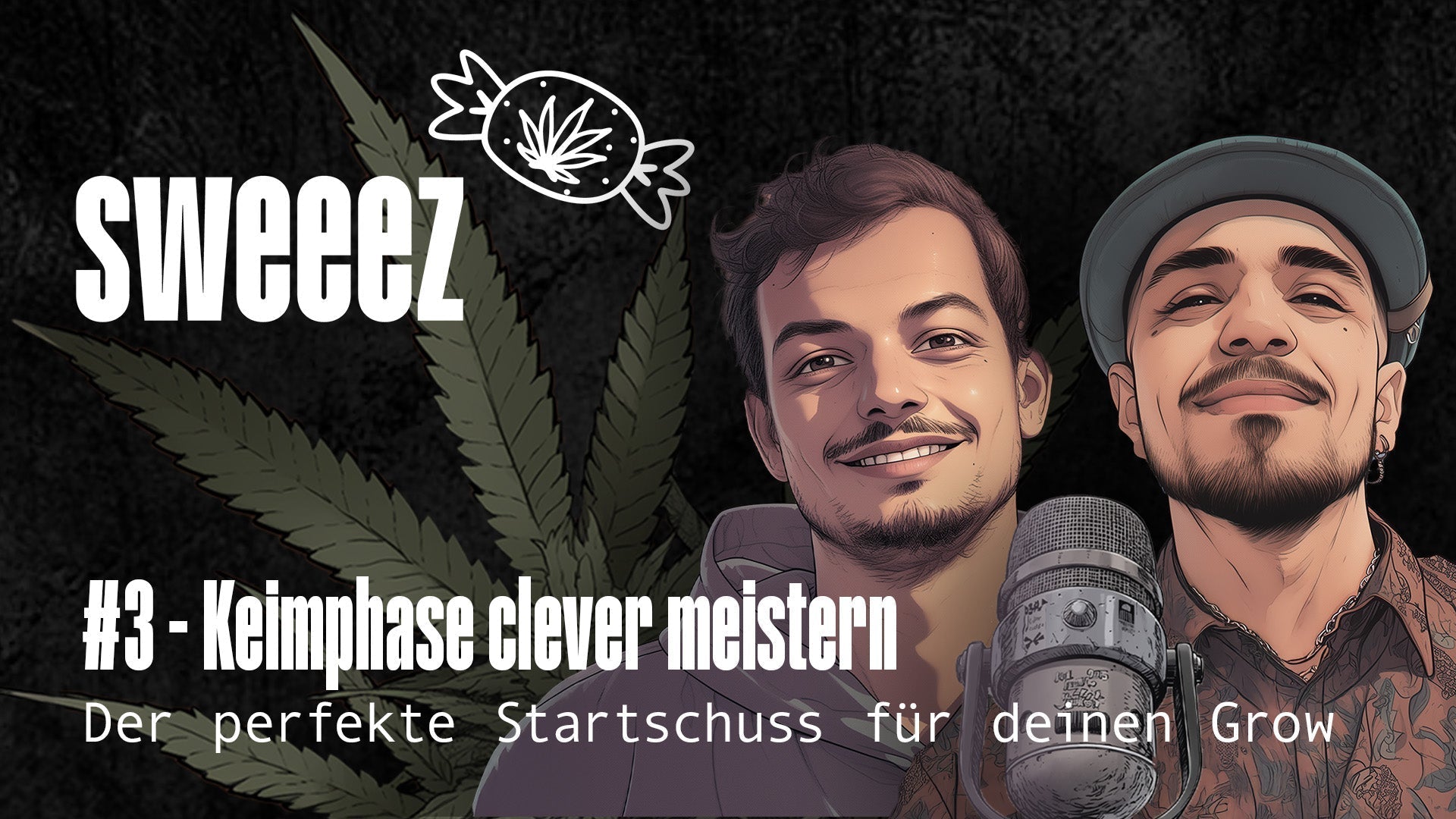 #3 - Keimphase clever meistern