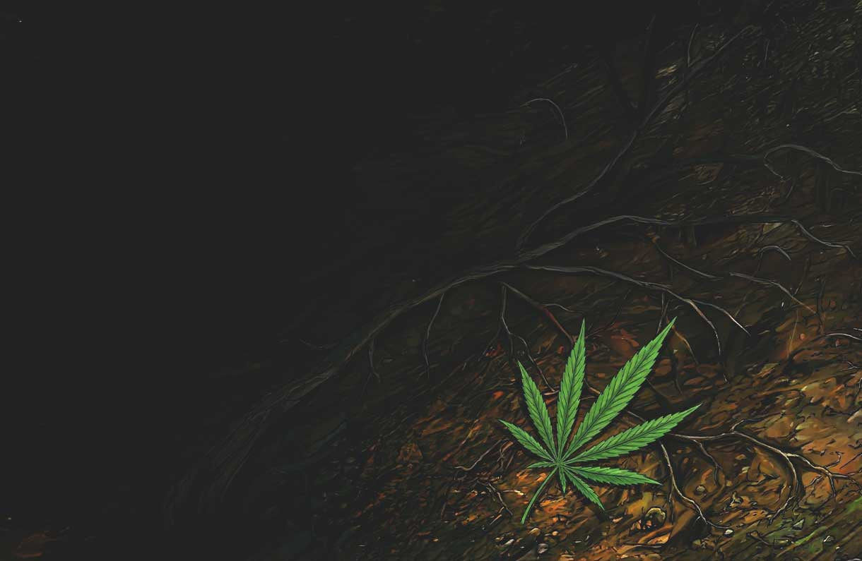 Ein einzelnes grünes Cannabisblatt liegt auf einem dunklen, erdigen Boden mit verstreuten Wurzeln, beleuchtet vor einem meist schwarzen Hintergrund.