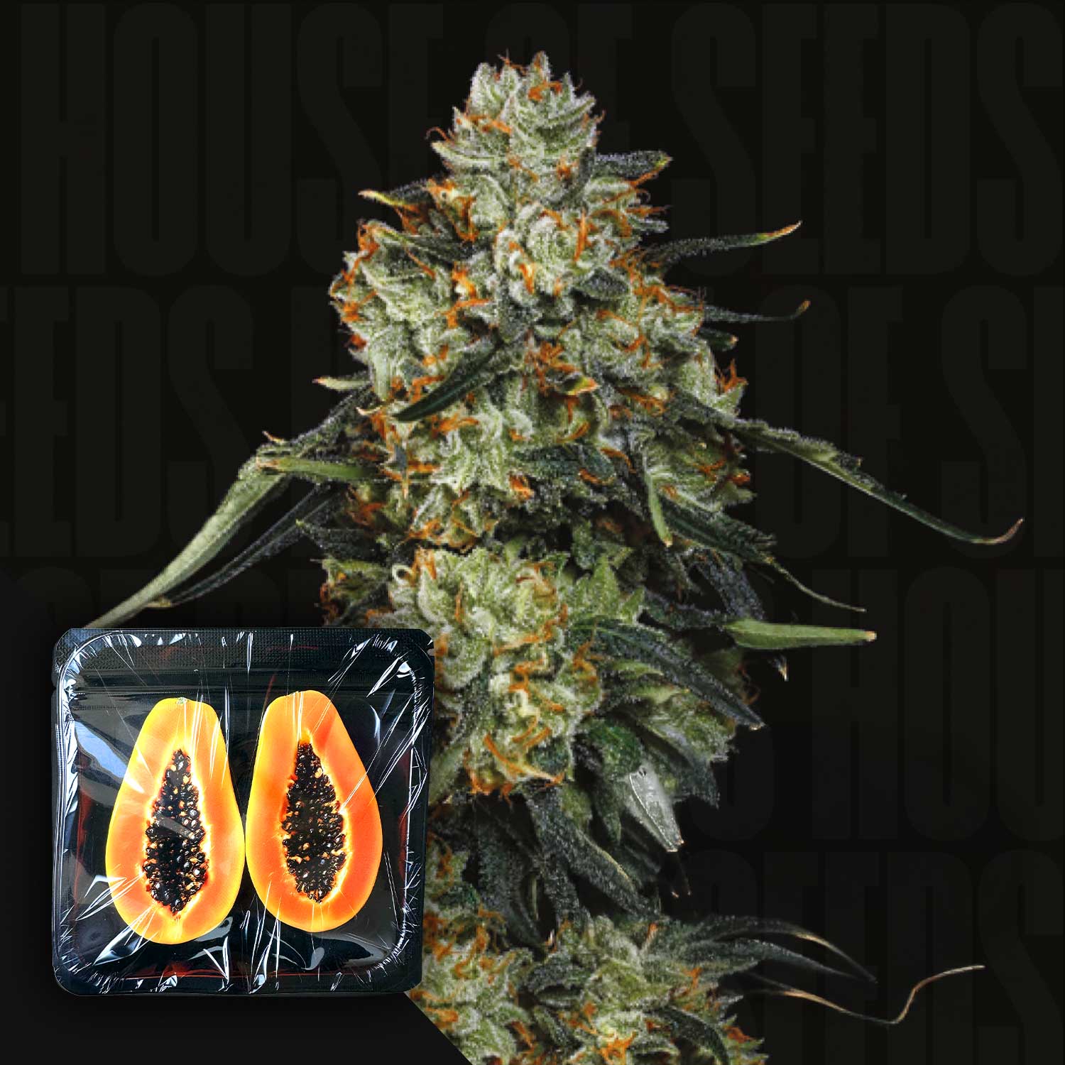 Eine Nahaufnahme von Papaya x Zorroz von Nine Weeks Harvest mit einer halbierten, in Plastik verpackten Papaya.