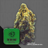 TB Kush