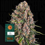 Blue Cheese