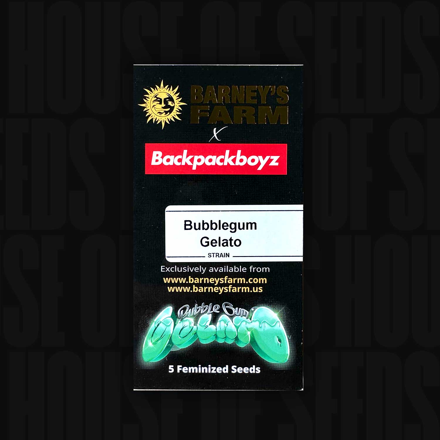 Grünes Barney’s Farm Bubblegum Gelato Päckchen mit buntem Schriftzug, Aufschrift 5 feminisierte Samen und Website-Informationen