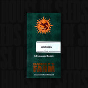 Dunkelgrüne Barney’s Farm Packung Glookies mit orangefarbenem Sonnenlogo, Aufschrift 5 feminisierte Samen und Text Souvenirs from Holland