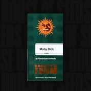 Grünes Barney’s Farm Päckchen Moby Dick mit orangefarbenem Sonnenlogo, Aufschrift 3 feminisierte Samen und Text Souvenirs from Holland