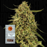 Widow Remedy
