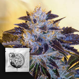 Grape OG