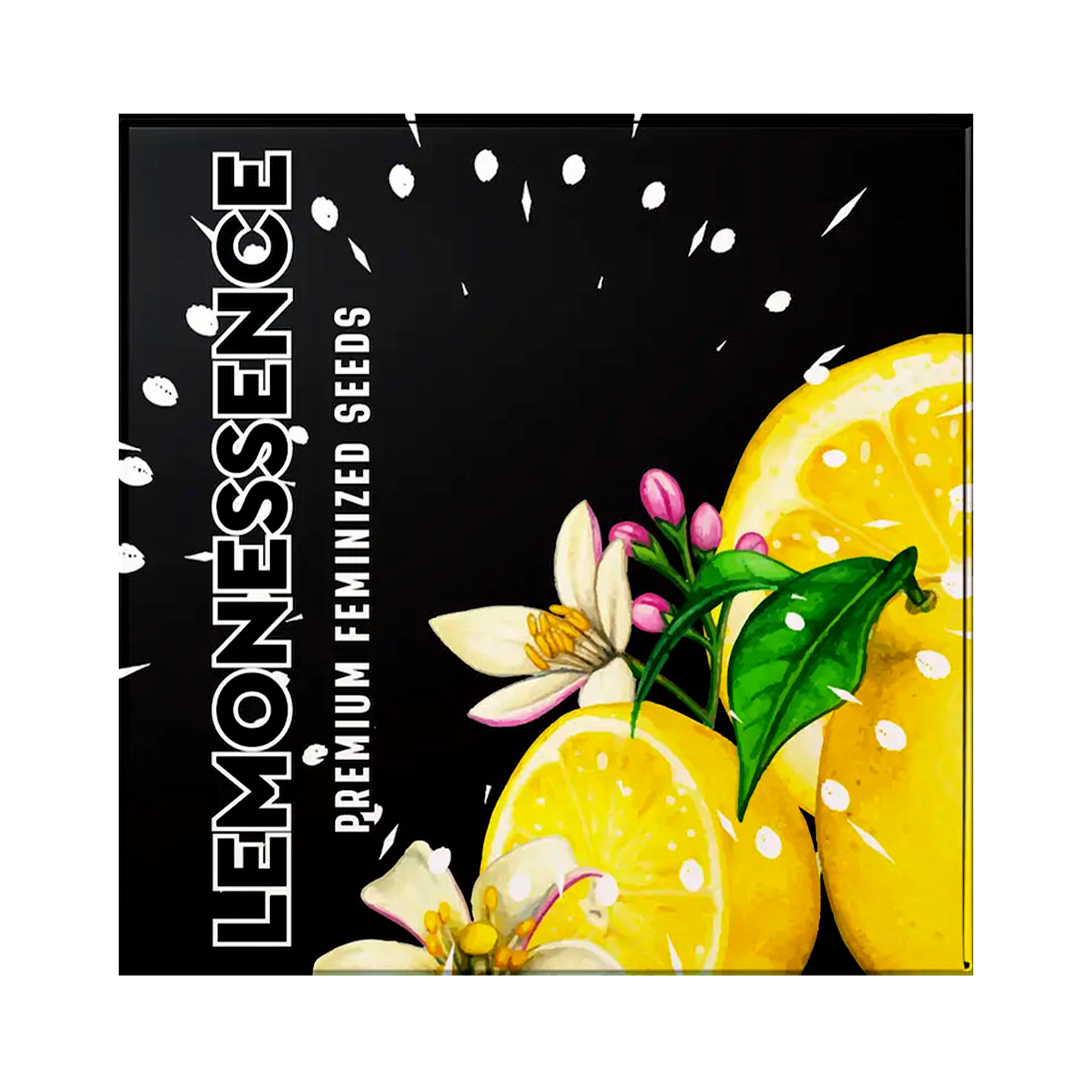 Box mit Zitronen, Blüten und Blättern auf Schwarz; Text: Doja Lemonessence Premium Feminisiertes Saatgut.