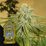 White Banana Auto