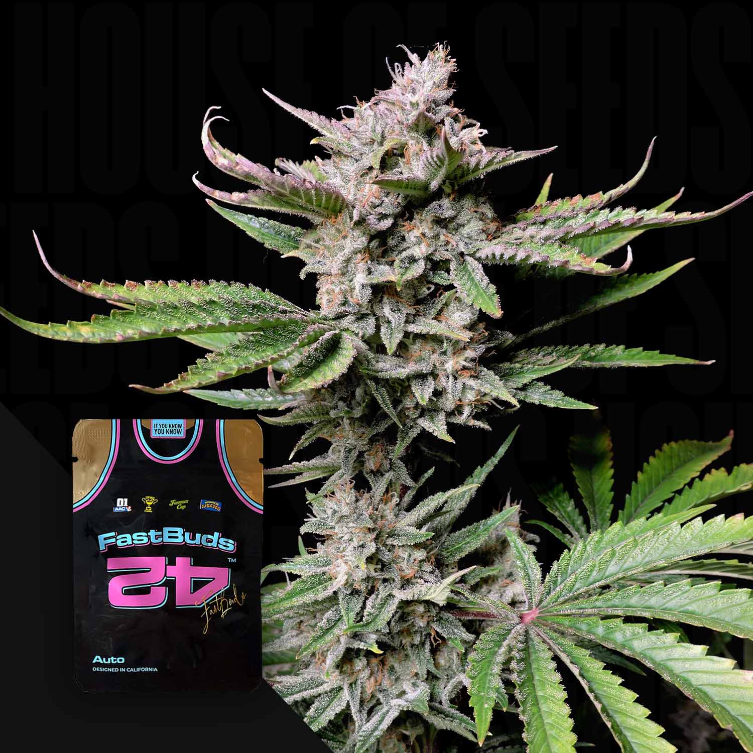 FB-CCA-0