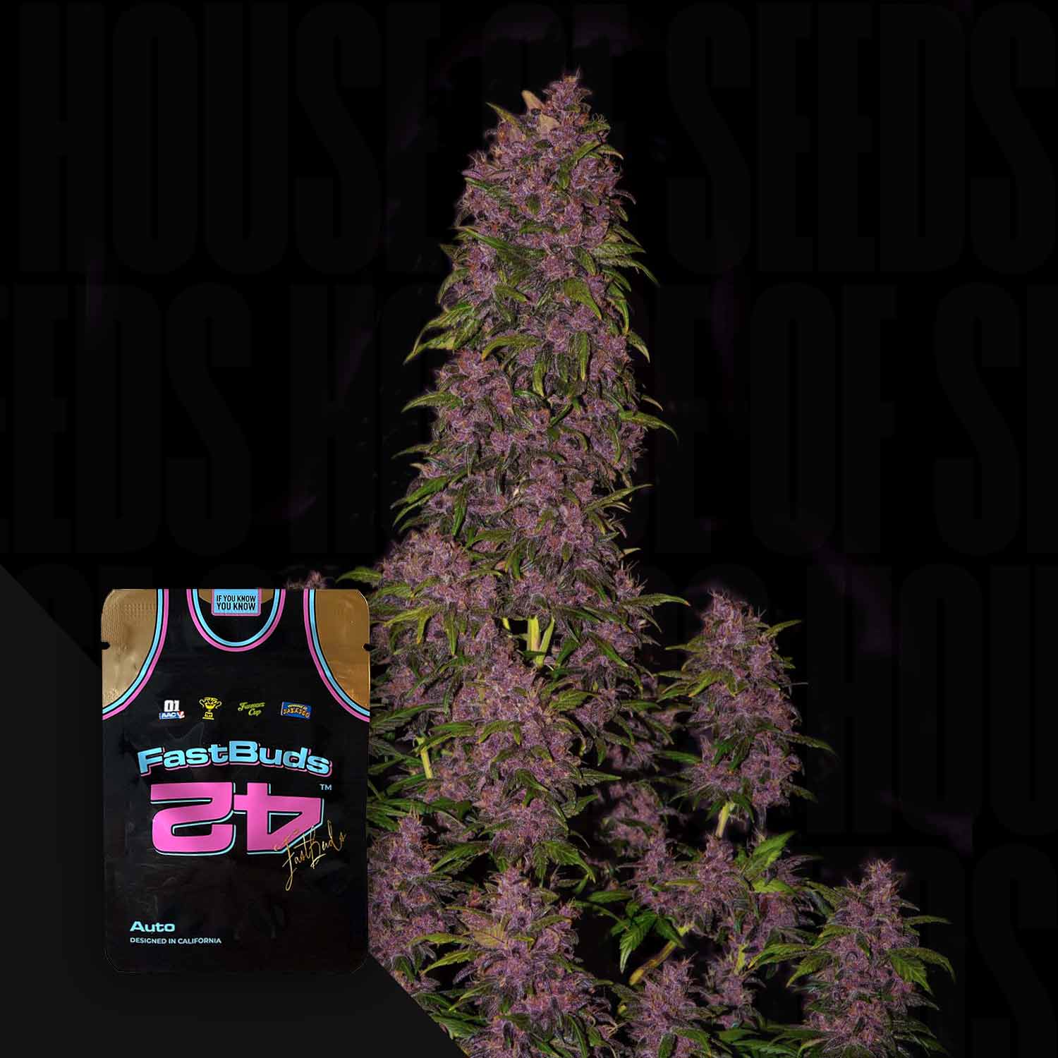Eine hohe Cannabis-Pflanze mit lila Knospen neben 420 Fast Buds Crystal METH Auto Samenpackung mit Trikot-Design.