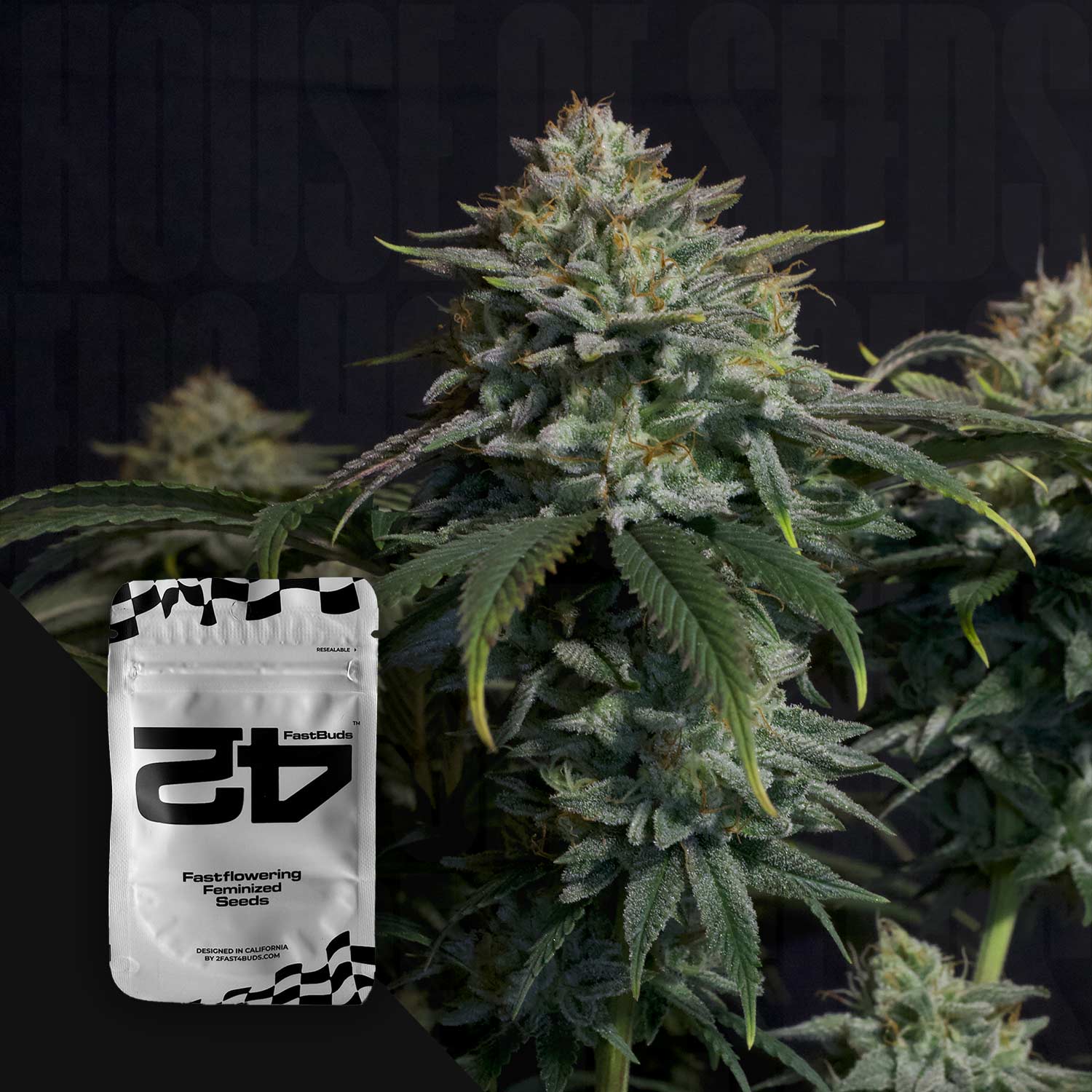 FB-GCF-3