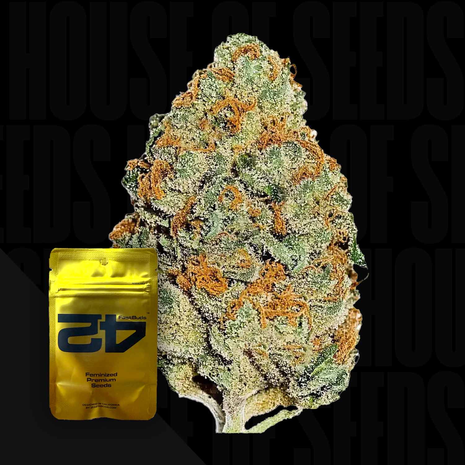 Eine Nahaufnahme einer Cannabisknospe neben einem gelben 420 Fast Buds Lemon Mandarin FEM-Samenpaket auf dunklem Hintergrund.