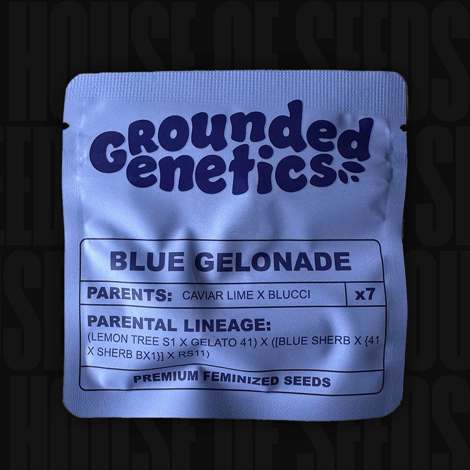 Grounded Genetics Blue Gelonade Paket mit Angaben zu feminisierten Samen und Abstammung Caviar Lime x Blucci