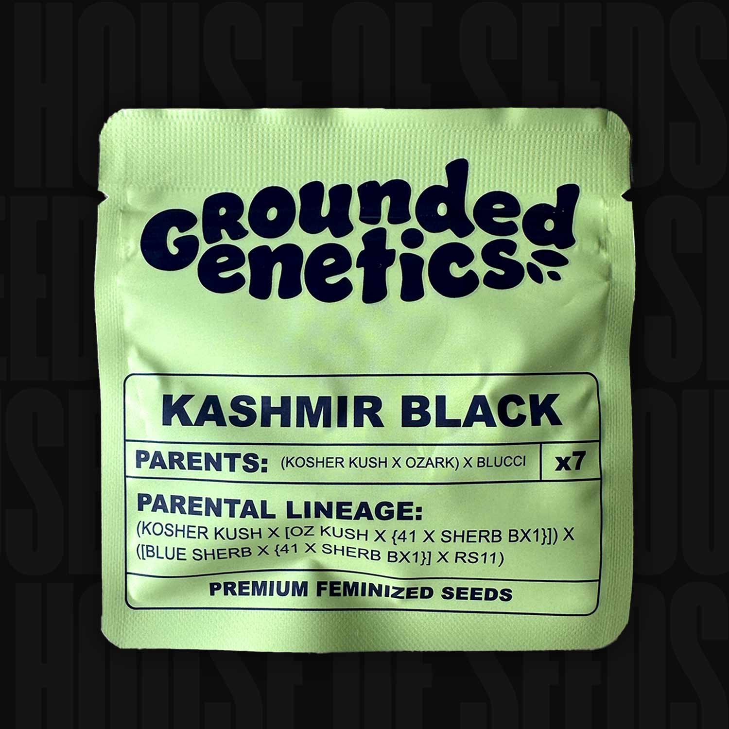 Lindgrüne Kashmir Black Verpackung von Grounded Genetics für feminisierte Samen mit Sortenabstammung und Infos darunter