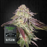 Sugarlato Auto