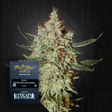 Train Wreck