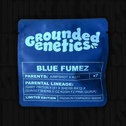 Blaues Grounded Genetics Blue Fumez Paket mit Eltern- und Abstammungsangaben, Limited Edition