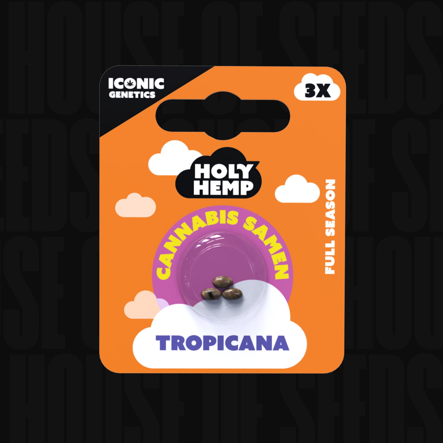 Tropicana Samen von Holy Hemp in orange-lila Verpackung mit 3 Samen und Aufschrift „FULL SEASON 3X“