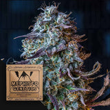 Mephisto's Wedding Auto