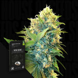 Double Kush Cake