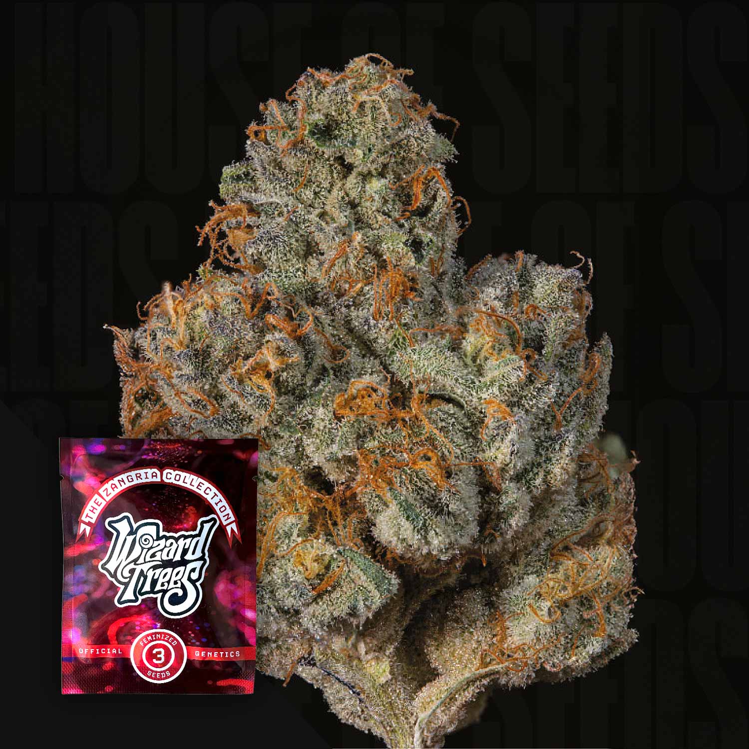 Nahaufnahme einer frostigen Cannabisknospe mit orangen Haaren, Ecke zeigt Wizard Trees Last Pour Samenpaket