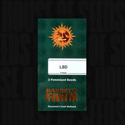 Grüne Saatgutpackung mit der Aufschrift LSD, 3 feminisierte Samen, Sonnenlogo und Barney's Farm Branding.