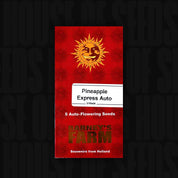 Barneys Farm Pineapple Express Auto